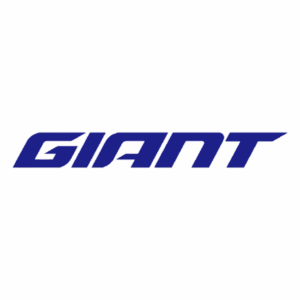 Entered bicycle market, partnered with GIANT